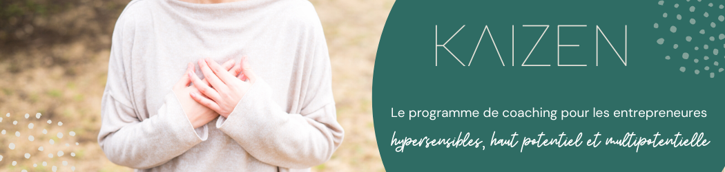 website-banner-kaizen